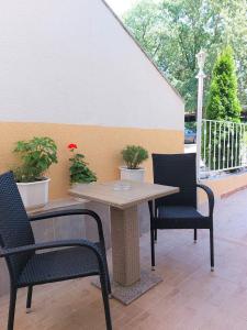 een patio tafel met twee stoelen en een tafel en twee planten bij AMORE house with apartment in Umag