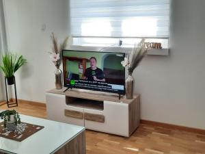 salon z telewizorem z płaskim ekranem na szafce w obiekcie Apartman TEJA DELUXE w mieście Vrnjačka Banja