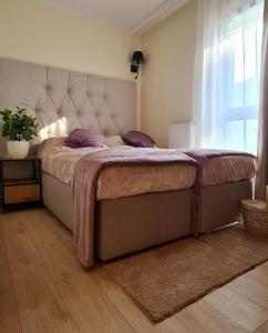 Un dormitorio con una cama con almohadas moradas y una ventana en Malta Premium Apartment, free parking, self check-in 24h, en Poznan