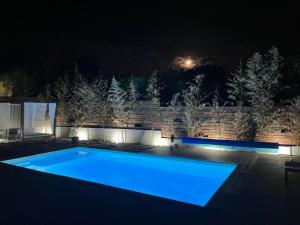 una piscina azul por la noche con luces en GardenLux Vrdnik, en Vrdnik