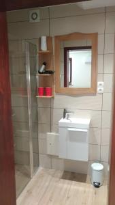 ein Bad mit einem Waschbecken und einem Spiegel in der Unterkunft Apartma Lara in Bled