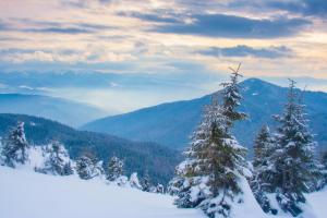 Un paisaje natural cerca of the country house