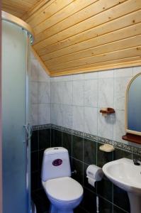 een badkamer met een toilet en een wastafel bij Smerichka Hotel in Dragobrat