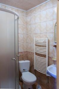 een badkamer met een toilet en een wastafel bij Smerichka Hotel in Dragobrat