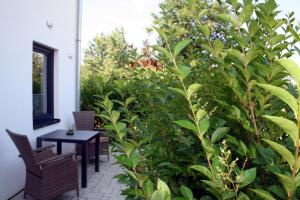 eine Terrasse mit einem Tisch und einigen grünen Pflanzen in der Unterkunft Hotel HeideZeiten in Walsrode