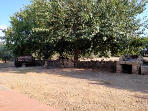 a tree and a stone wall next to a tree at Casa Margherita in Càbras