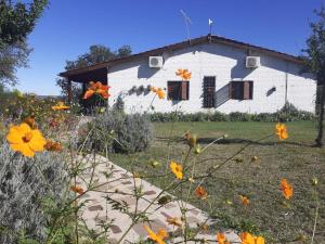 O grădină în afara Casitas de Campo