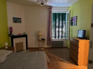 um quarto com uma cama, uma televisão e uma lareira em Chez Virginie em Gisors