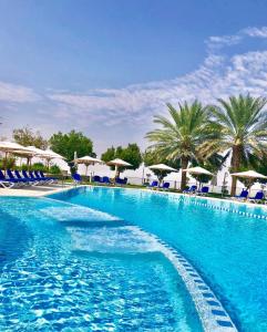 una grande piscina con sedie blu e ombrelloni di Mercure Grand Jebel Hafeet Hotel a Al Ain