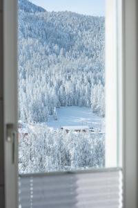 Landskap nær hotellet