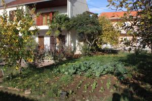 a garden in front of a house at Apartments with a parking space Biograd na Moru, Biograd - 5899 in Biograd na Moru