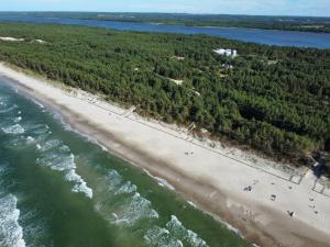 an aerial view of a beach with trees and water at Apartament 23 w Porto Łeba in Łeba