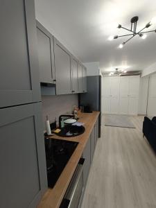 Кухня или мини-кухня в Apartament rafinat cu grădină privată
