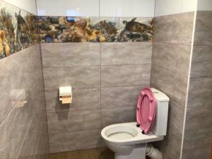 baño con aseo con tapa rosa en Квартира, en Yaremche