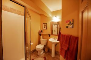 a bathroom with a toilet and a sink at Auberge Kicking Horse Guest House in Golden