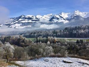 Blick auf schneebedeckte Berge mit Bäumen und Wolken in der Unterkunft Hôtel de Ville in Gruyères