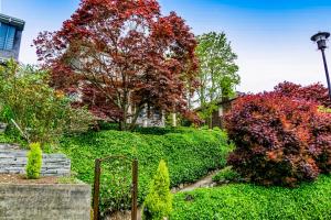 einen Garten mit bunten Bäumen und Sträuchern in der Unterkunft The Studio in Seattle