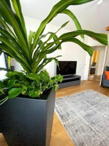 A seating area at Stylish two-floor apartment in a heart of Basel