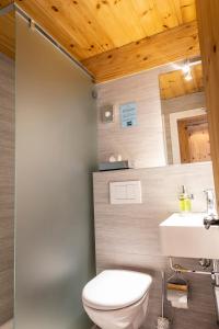 Un baño de Hôtel Alpina - Swiss Ski & Bike Lodge Grimentz