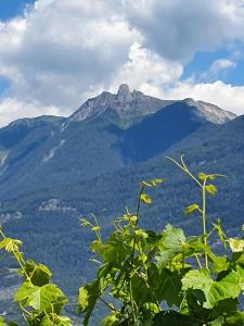 A general mountain view or a mountain view taken from az apartmanházakat