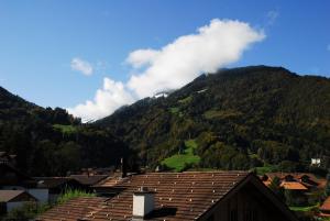 Blick auf einen Berg mit Häusern und Bäumen in der Unterkunft Ferienwohnung Interlaken/Wilderswil in Wilderswil