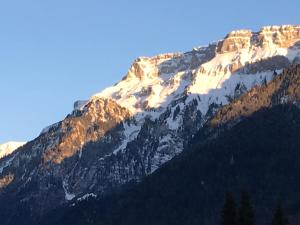 einen schneebedeckten Berg mit Bäumen davor in der Unterkunft Ferienwohnung Interlaken/Wilderswil in Wilderswil