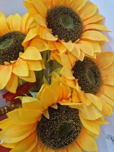 un grupo de girasoles amarillos en un jarrón en Hostal Boutique Luna de Gavín, en Cullera