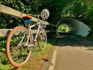 Ciclismo en The Villages at Ocean Edge Resort & Golf Club o alrededores