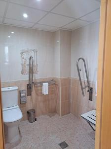 a bathroom with a toilet and a shower at Hotel Plaza Inn in Figueres