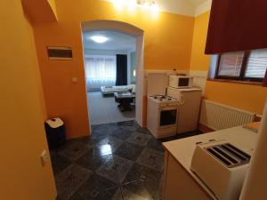 Un baño de Apartmán Horní Slavkov Hodinářství