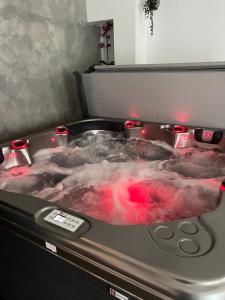 Galeri foto LE 46 : Superbe appartement jacuzzi di Besancon