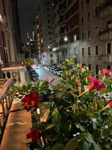 a bush with red flowers on a city street at night at Hotel Sempione in Milan