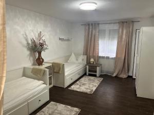 Un pat sau paturi într-o cameră la Bibis Ferienwohnung