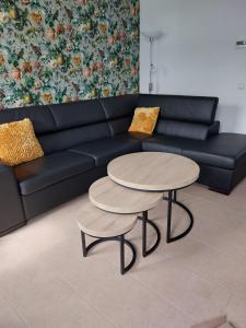 a living room with a black couch and two tables at De Poldersteeg 