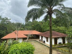 a house with a palm tree in front of it at Roça Vale dos Prazeres in São Tomé