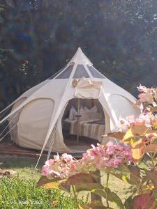 A garden outside Glamping Altes Pastorat