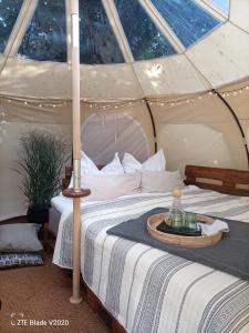 A bed or beds in a room at Glamping Altes Pastorat