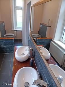 A bathroom at Glamping Altes Pastorat