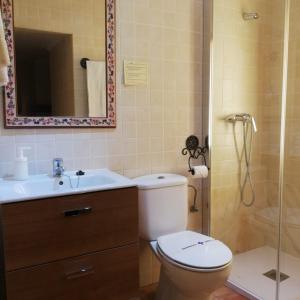 La salle de bains est pourvue de toilettes, d'un lavabo et d'une douche. dans l'établissement Hotel Don Carlos Cáceres, à Cáceres