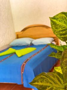 a bedroom with a bed with blue sheets and a plant at El Mirador de Tansu in Lanquín