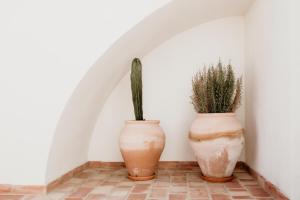 Foto de la galería de Casa dos Mercados en Olhão