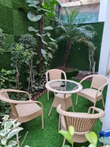 A garden outside City View With Garden -5 Mins Walk From GOLDEN TEMPLE