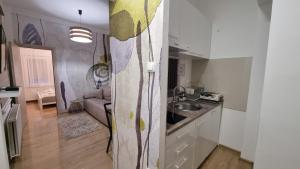 een keuken en een woonkamer met een wastafel en een aanrecht bij Ancora apartment Anja in Novi Sad