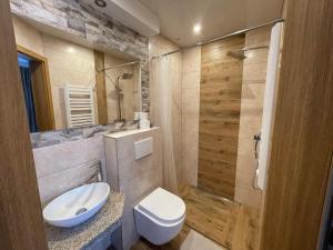 a bathroom with a toilet and a sink and a shower at Willa Grand Krzesanica in Kościelisko