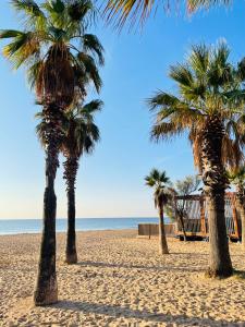 un groupe de palmiers sur une plage de sable dans l'établissement Studio de standing climatisé, avec piscine, proche de la mer, à Fréjus