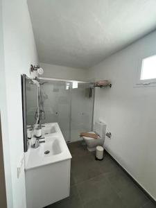 uma casa de banho com um lavatório branco e um WC. em El Cercado em Tinajo