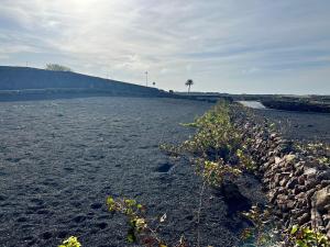 uma parede de pedra ao lado de um campo com uma árvore em El Cercado em Tinajo