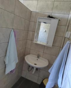 A bathroom at Apartmani Jela