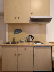 a kitchen with a sink and a counter top at Molignon - Ortisei - Val Gardena in Ortisei