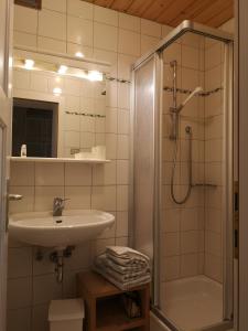 a bathroom with a sink and a shower at Molignon - Ortisei - Val Gardena in Ortisei